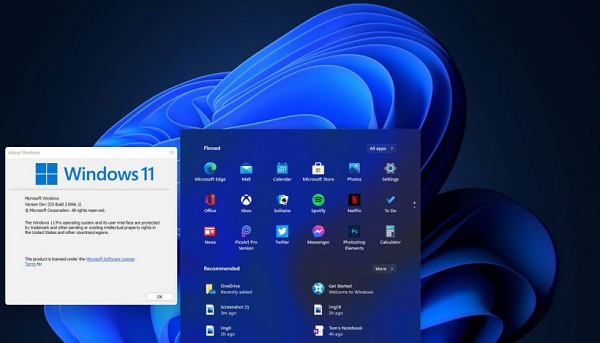 Windows 11开发者版本