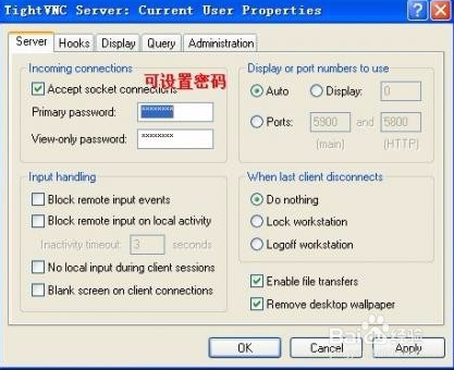 TightVNC v2.8.11绿色纯净版