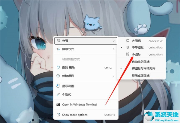 Windows 11如何设置桌面软件小图标？Windows 11设置桌面软件小图标课程